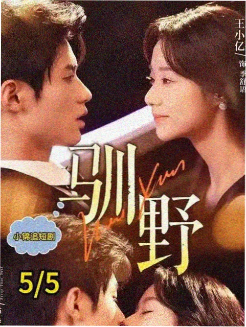 归途列车 好看的国产剧在线看